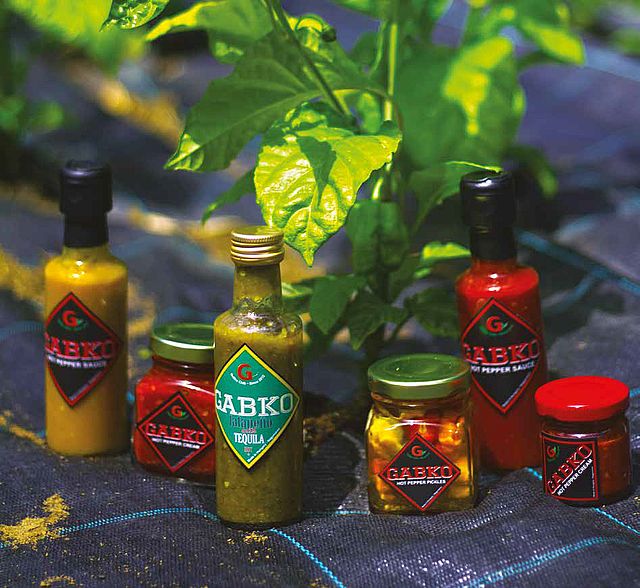 Mexikó Nagymaroson – A dunamenti chili-történet