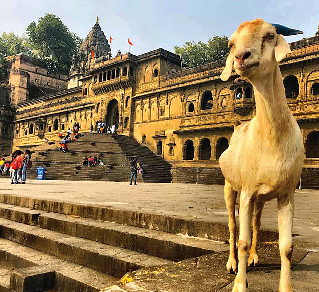 Ellentétek vonzásában: India