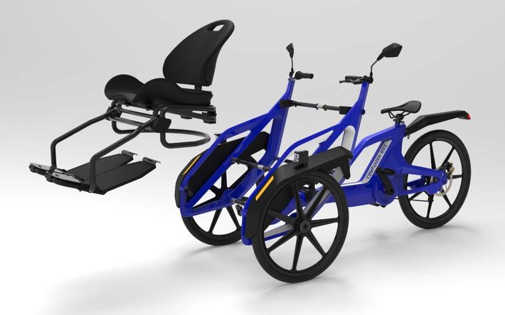 Companion Bike 