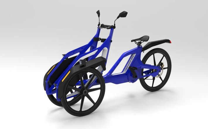 Companion Bike 