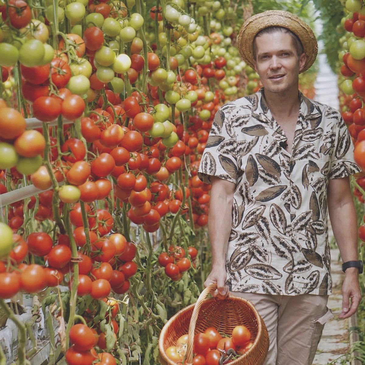 Gyetván Csaba