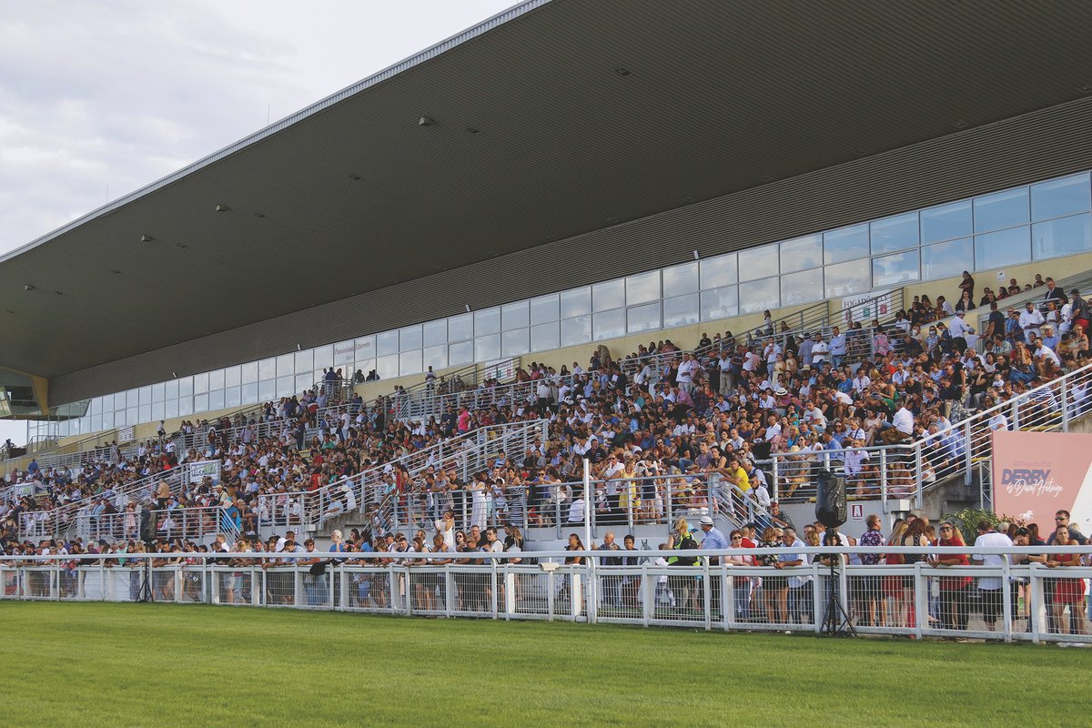 Pécsi István (Kincsem Park)