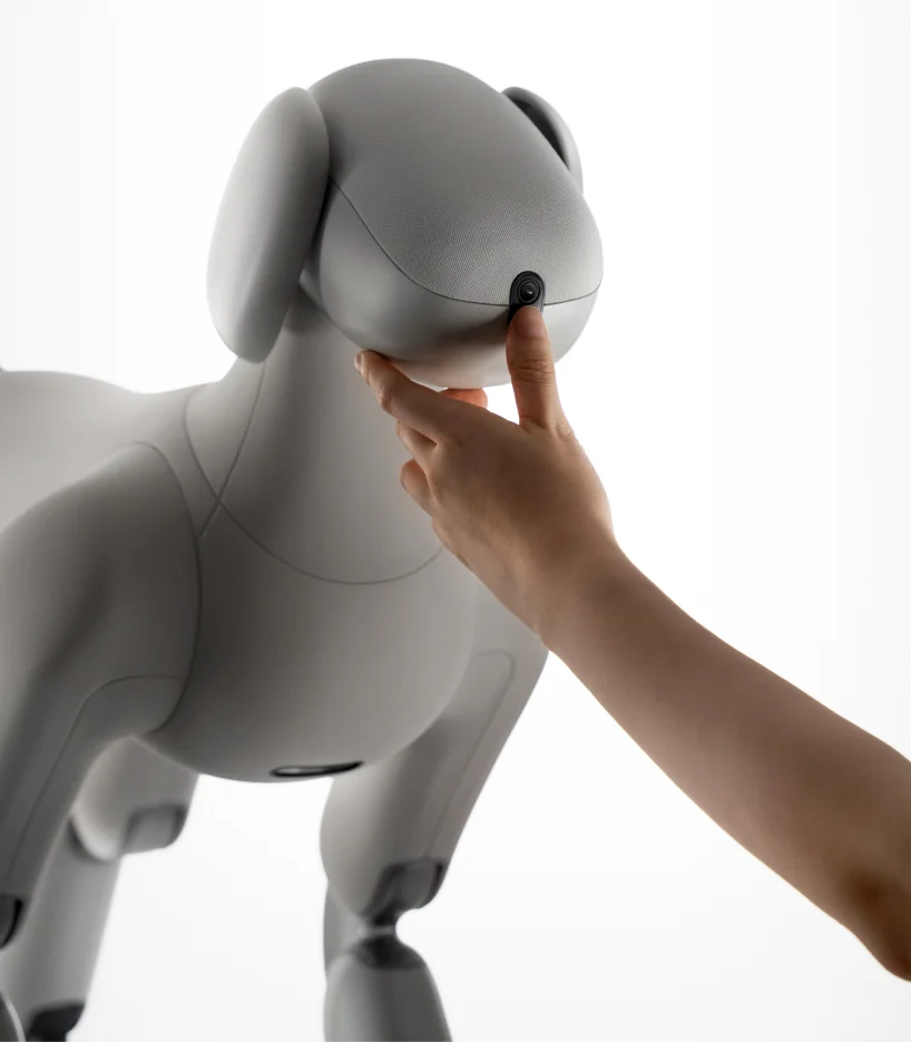 Egy emberi kéz megérinti a világosszürke robotkutya orrán lévő kerek érzékelőt.